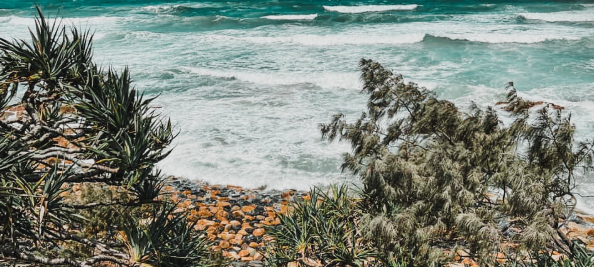 From Ocean to Outback Collection